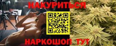 apvp Ярославль