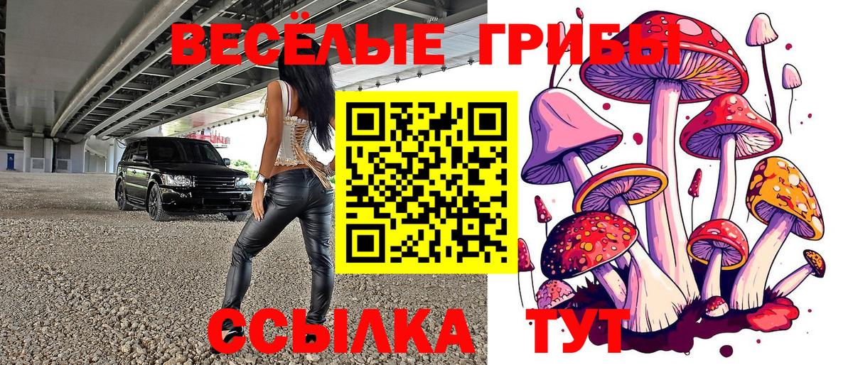 где можно купить   Вход с VPN  Псилоцибиновые грибы Psilocybine cubensis  Владимир  Галлюциногенные грибы Magic Shrooms 